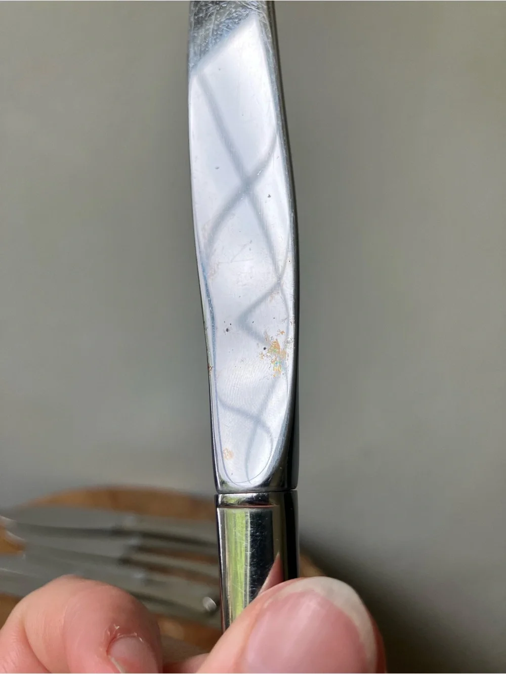 Oneida | Distinction Deluxe HH Westgate Royal Crest 45p Stainless Steel Flatware